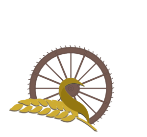 logo-mulino_carcare